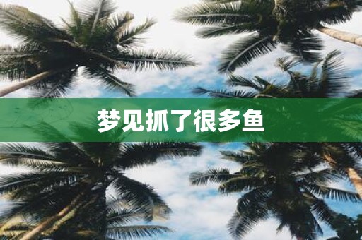 梦见抓了很多鱼