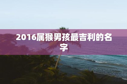 2016属猴男孩最吉利的名字