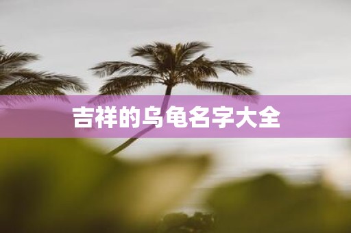 吉祥的乌龟名字大全