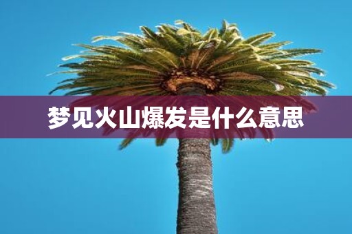 梦见火山爆发是什么意思