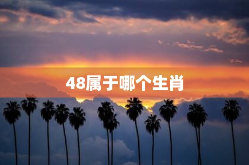 48属于哪个生肖
