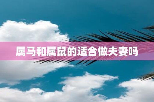 属马和属鼠的适合做夫妻吗