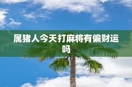 属猪人今天打麻将有偏财运吗