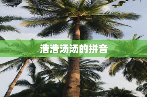 浩浩汤汤的拼音
