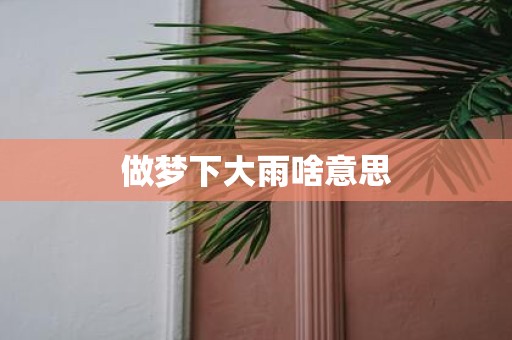做梦下大雨啥意思