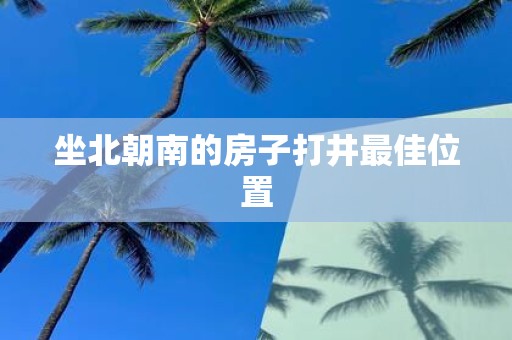坐北朝南的房子打井最佳位置
