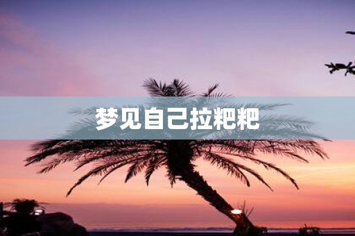 梦见自己拉粑粑