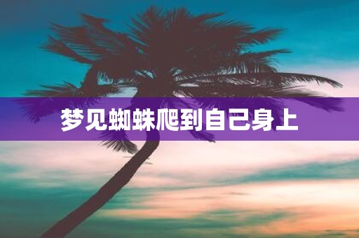 梦见蜘蛛爬到自己身上