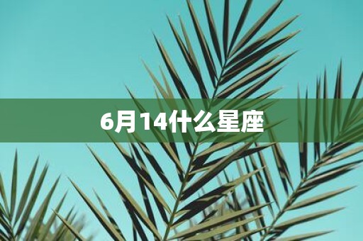 6月14什么星座