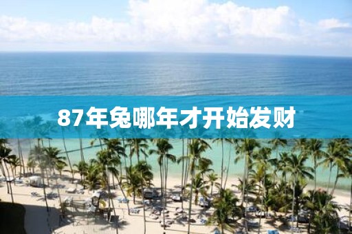 87年兔哪年才开始发财
