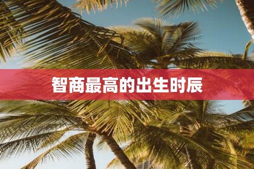 智商最高的出生时辰