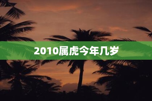 2010属虎今年几岁