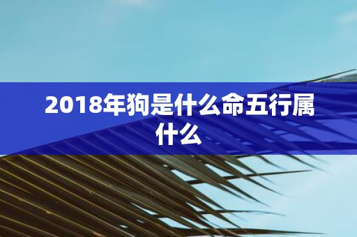 2018年狗是什么命五行属什么