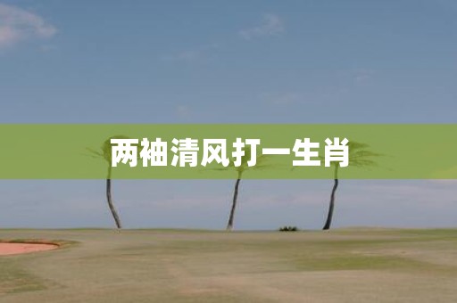 两袖清风打一生肖