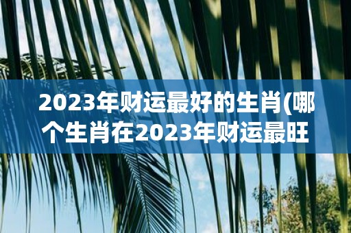 2025年财运最好的生肖(哪个生肖在2025年财运最旺？)