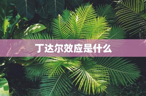 丁达尔效应是什么