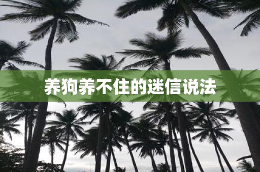 养狗养不住的迷信说法