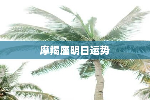摩羯座明日运势