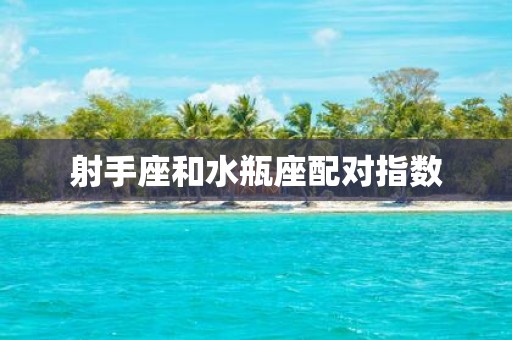 射手座和水瓶座配对指数
