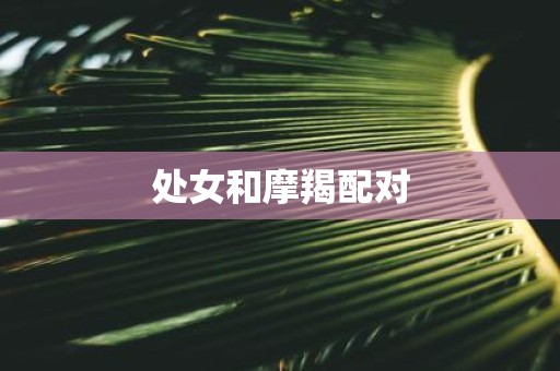 处女和摩羯配对