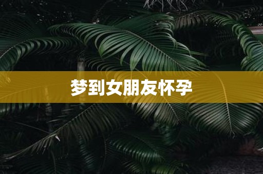 梦到女朋友怀孕