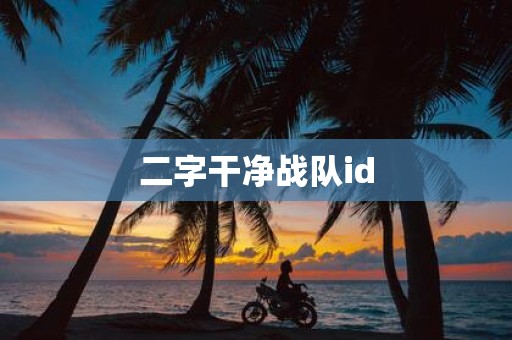 二字干净战队id