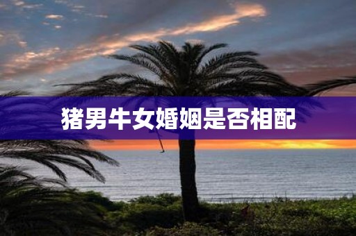 猪男牛女婚姻是否相配