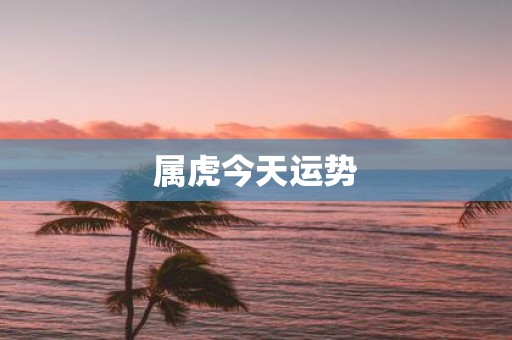 属虎今天运势