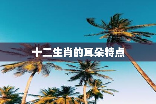十二生肖的耳朵特点
