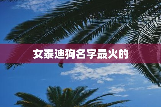 女泰迪狗名字最火的