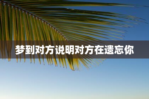 梦到对方说明对方在遗忘你 梦到对方说明对方在遗忘你