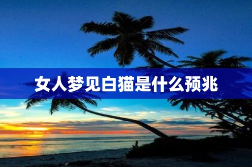 女人梦见白猫是什么预兆