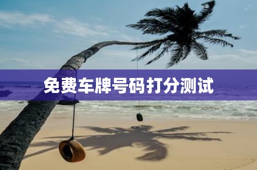 免费车牌号码打分测试