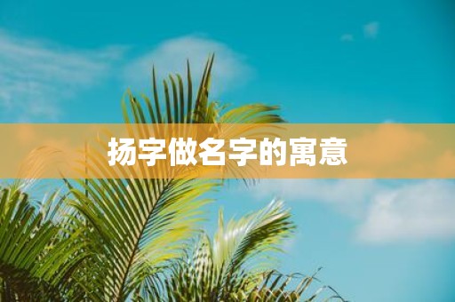 扬字做名字的寓意