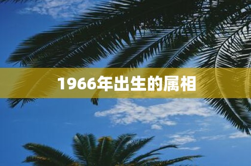 1966年出生的属相