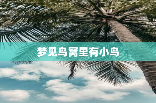 梦见鸟窝里有小鸟