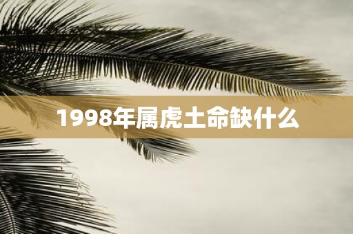 1998年属虎土命缺什么