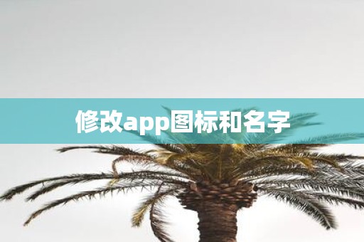 修改app图标和名字
