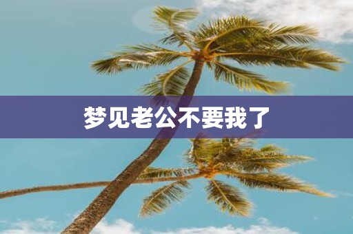 梦见老公不要我了