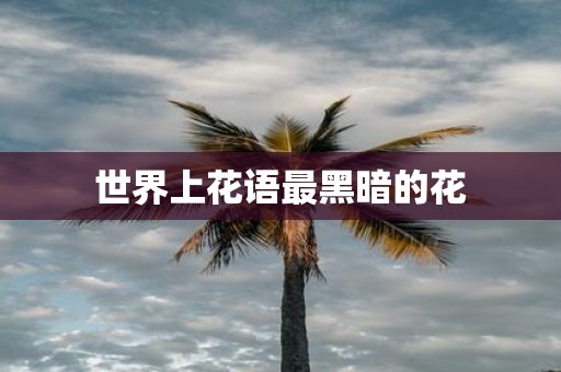 世界上花语最黑暗的花