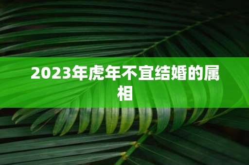 2025年虎年不宜结婚的属相