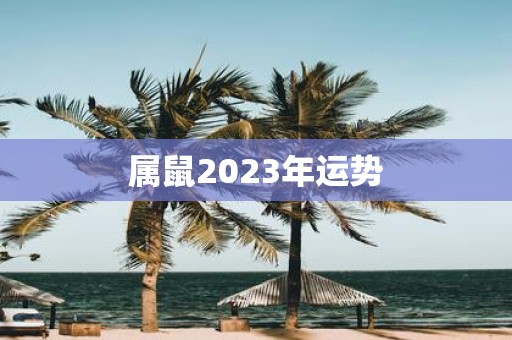 属鼠2025年运势