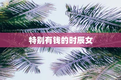 特别有钱的时辰女