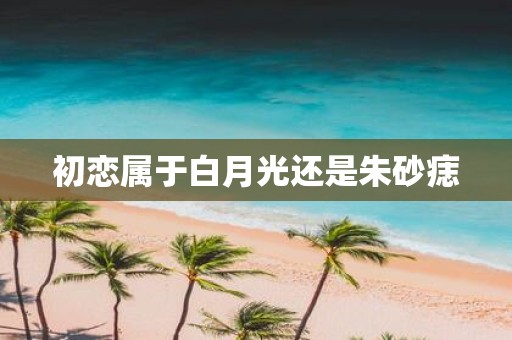 初恋属于白月光还是朱砂痣