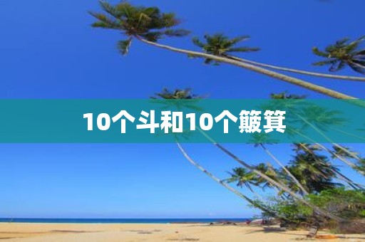 10个斗和10个簸箕