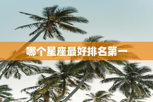 哪个星座最好排名第一