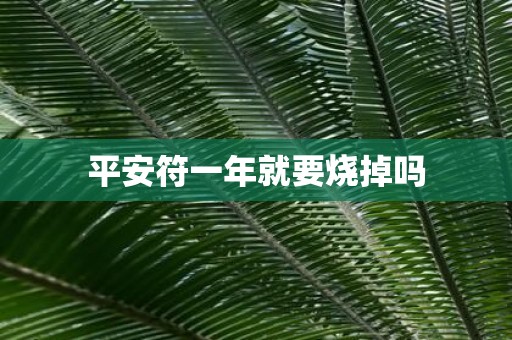 平安符一年就要烧掉吗