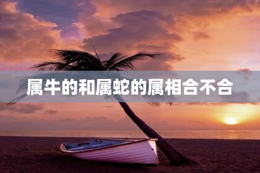 属牛的和属蛇的属相合不合