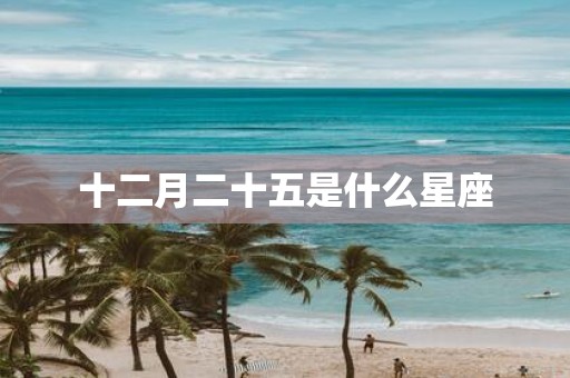十二月二十五是什么星座
