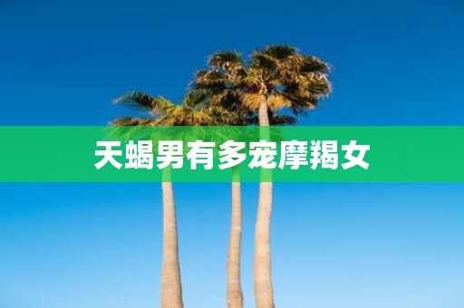 天蝎男有多宠摩羯女
